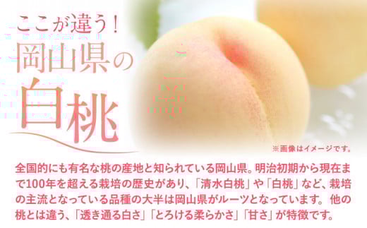 【2026年発送先行予約】桃 岡山の桃 約700g 《2026年6月下旬-9月上旬頃出荷》 白桃 岡山 白桃 はくとう スイーツ フルーツ 果物 先行予約 数量限定 期間限定 岡山 矢掛町 モモ もも 清水白桃 白鳳 白麗 一万以下 一万円以下 10000円以下