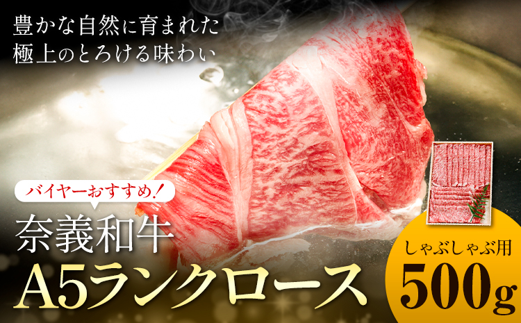 奈義和牛 A5ランクロース バイヤーおすすめ！ しゃぶしゃぶ用 500g 株式会社 天満屋《30日以内に出荷予定(土日祝除く)》岡山県 矢掛町 和牛 牛肉 肉 A5ランク しゃぶしゃぶ 送料無料