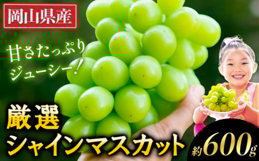 シャインマスカット【2026年出荷先行予約】厳選 シャインマスカット 約600g《2026年9月上旬~11月中旬頃に出荷予定》一万円 果物 一万 10000円