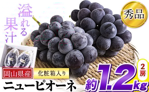 23. 秀品 ニューピオーネ 約1.2kg 2房《8月下旬-10月中旬頃出荷》 st-p