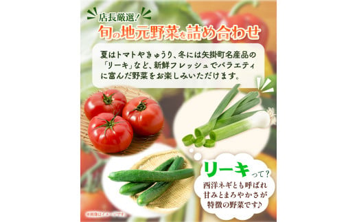 132. 旬の新鮮野菜詰め合わせセット 野菜5〜10品目入 青空市きらり《30日以内に出荷予定》 岡山県 矢掛町 野菜 野菜詰め合わせ トマト きゅうり アスパラガス 玉ねぎ リーキ 送料無料
