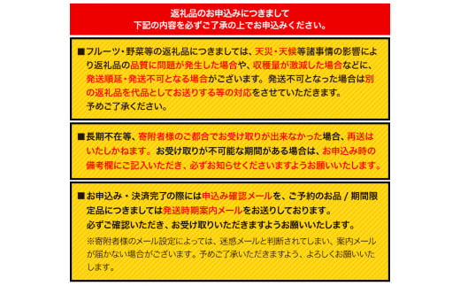 223.【先行予約】 岡山県産 つる付きニューピオーネ 1房 680g以上 露地栽培 葡萄 果物 厳選出荷 スイーツ フルーツ デザート 岡山県矢掛町《9月上旬-10月下旬頃出荷》 種なしぶどう 【配送不可地域あり】