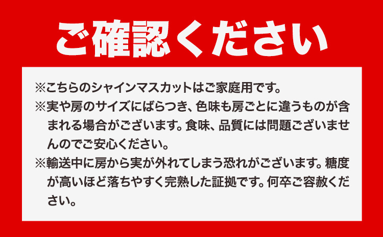 ご家庭用 シャインマスカット 2kg《8月下旬-9月中旬頃出荷》田尻盛果園 フルーツ 果物 マスカット ぶどう