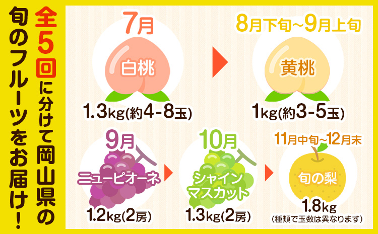 フルーツ 定期便 全5回 岡山県の 贅沢 フルーツ定期便 白桃 黄桃 ニューピオーネ シャインマスカット 梨《2026年7月-2027年12月末頃出荷》岡山県 矢掛町 送料無料 果物 フルーツ 旬 もも ぶどう なし お取り寄せフルーツ