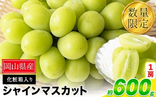 秀品 シャインマスカット 約600g 1房《9月上旬-11月上旬頃出荷》 st-p