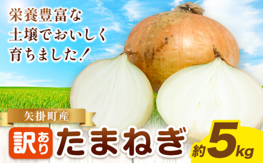 玉ねぎ 矢掛町産 訳あり 玉ねぎ 約5kg 《5月末〜7月中旬頃に出荷予定》 約 5kg 野菜 岡山県 矢掛町 たまねぎ 大きさ不揃い 訳ありたまねぎ