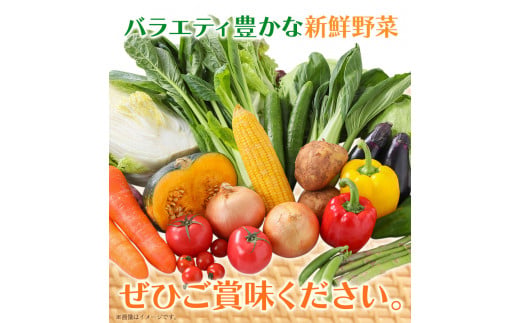 132. 旬の新鮮野菜詰め合わせセット 野菜5〜10品目入 青空市きらり《30日以内に出荷予定》 岡山県 矢掛町 野菜 野菜詰め合わせ トマト きゅうり アスパラガス 玉ねぎ リーキ 送料無料