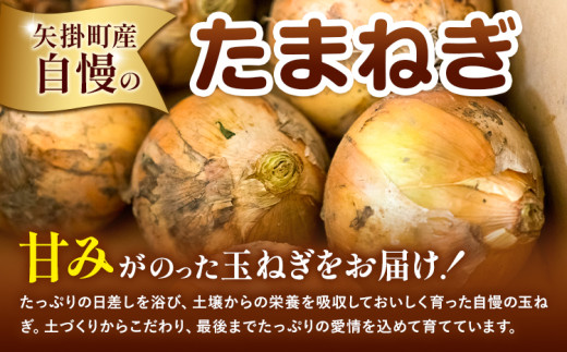 玉ねぎ 矢掛町産 訳あり 玉ねぎ 約2kg《5月末〜7月中旬頃に出荷予定》 約 2kg 野菜 岡山県 矢掛町 五千円以下 たまねぎ 大きさ不揃い 訳ありたまねぎ