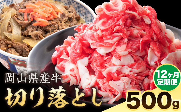 【12ヶ月定期便】岡山県産牛 切り落とし 交雑牛 500g お試し 大容量《お申込み月の翌月から出荷開始》 岡山県 矢掛町 肉 送料無料
