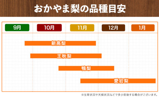 岡山県産 秀品 旬の梨 約2.5kg 2~6玉前後 梨 秀品 新高 愛宕 スイーツ フルーツ デザート 旬 岡山県矢掛町《9月上旬-1月末頃に出荷予定》