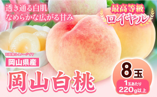 226.【先行予約】 岡山県産 岡山白桃  8玉 (220g以上) 【配送不可地域あり】 《7月上旬-8月下旬頃出荷》 岡山県 矢掛町 桃 もも 白桃 果物
