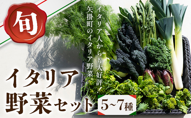 野菜 旬の イタリア野菜 セット 5～7種 《11月下旬-3月中旬頃出荷》JA晴れの国 矢掛アグリセンター 野菜 ねぎ ネギ 国産 イタリア リーキ プレコーチェ カタローニャ ルーコラ ズッキーニ トマト 玉ねぎ 西洋 送料無料