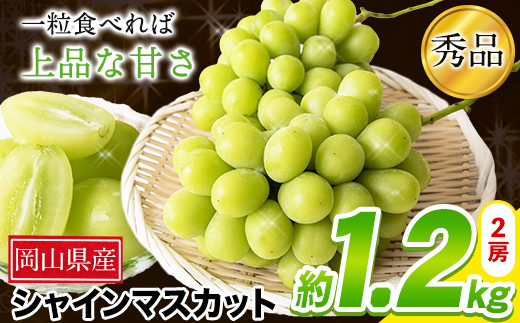 21. 秀品 シャインマスカット 約1.2kg 2房 《9月上旬-11月上旬頃出荷》 st-p
