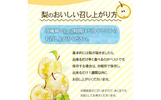 ç£å°çŽé è±æ°Žæ¢š çŽ4kg (9~10çååŸ) æ°Žè»ã®éãã«ãŒããã㢠æééå® å²¡å±±ç ç¢æçºç£ ãªã æç© ã¹ã€ãŒã ãã«ãŒã ãã¶ãŒãã9æäžæ¬-10æäžæ¬é åºè·ã