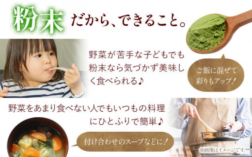 野菜パウダー 乾燥野菜 3点 セット 野菜 ありがとう園《30日以内に出荷予定(土日祝除く)》岡山県 矢掛町 野菜 パウダー 乾燥 野菜 40g 15g 30g 旬