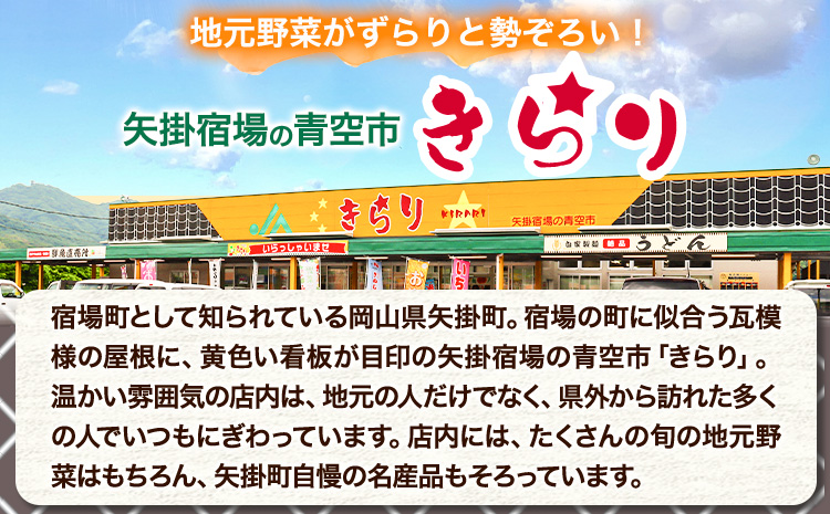 旬の新鮮野菜とお米詰め合わせセット 野菜5～10品目入 青空市きらり《30日以内に出荷予定》岡山県 矢掛町 野菜 野菜詰め合わせ 米 米3kg トマト きゅうり アスパラガス 玉ねぎ リーキ 送料無料