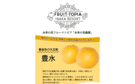 ç£å°çŽé è±æ°Žæ¢š çŽ4kg (9~10çååŸ) æ°Žè»ã®éãã«ãŒããã㢠æééå® å²¡å±±ç ç¢æçºç£ ãªã æç© ã¹ã€ãŒã ãã«ãŒã ãã¶ãŒãã9æäžæ¬-10æäžæ¬é åºè·ã