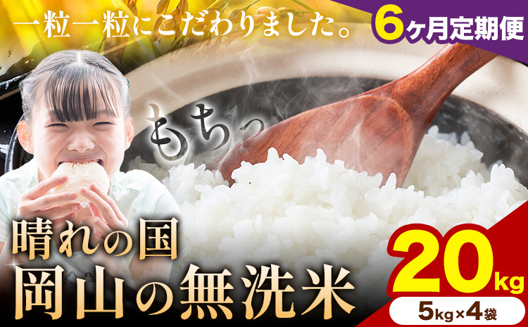 【6ヶ月定期便】晴れの国岡山の無洗米 20kg 岡山県産 矢掛町《申し込み翌月から発送》米 コメ