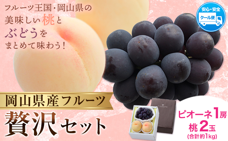 【2026年発送先行予約】 桃・ピオーネ詰め合わせ 約1kg クール便 冷蔵便 桃 もも 葡萄 ブドウ ぶどう ピオーネ フルーツ セット 晴れの国おかやま館 《2026年8月下旬-9月中旬頃出荷》 フルーツ 果物 果実 岡山県 矢掛町