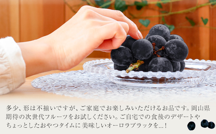 ã2026幎çºéå
è¡äºçŽããå®¶åºçš 岡山çç£ ãªãŒãã©ãã©ã㯠1.2kg 2-3æ¿ æŽãã®åœããããŸé€š ã2026幎9æäžæ¬-9æäžæ¬é åºè·ã岡山ç ç¢æçº è¡è ã¶ã©ã æç© ã¹ã€ãŒã ãã«ãŒã ãã¶ãŒããé
éäžå¯å°åãããïŒé¢å³¶ïŒ