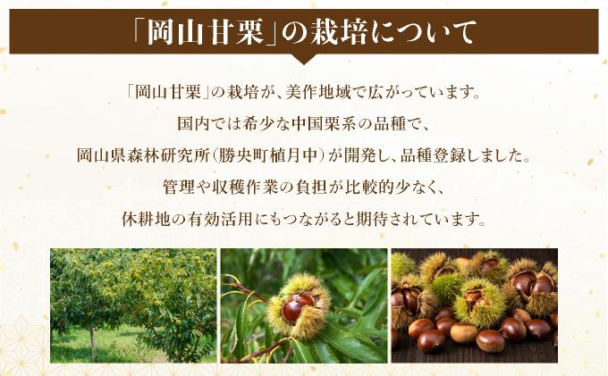 岡山甘栗・ギフト2パック詰合せセット【010-a013】|栗 くり おかやま 岡山県 鏡野 高糖度 おやつ お菓子 スイーツ 栗好き 焼き栗 焼き マロン
