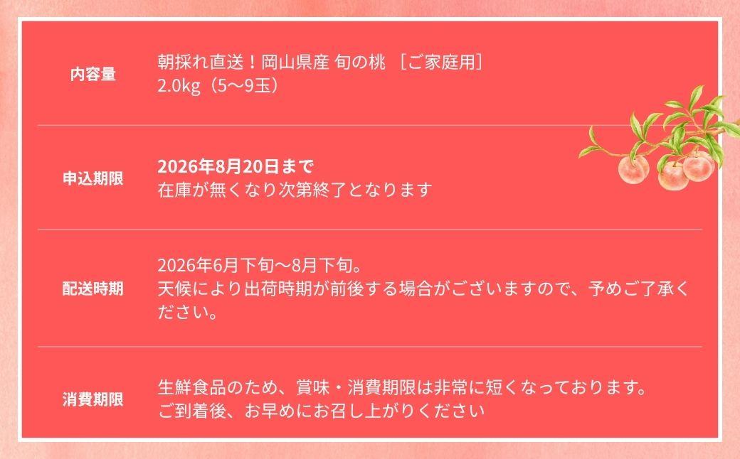 ＜数量限定＞［なんばふぁーむ］岡山県産 旬の桃 2.0kg（5～9玉）［ご家庭用］【2026年発送】