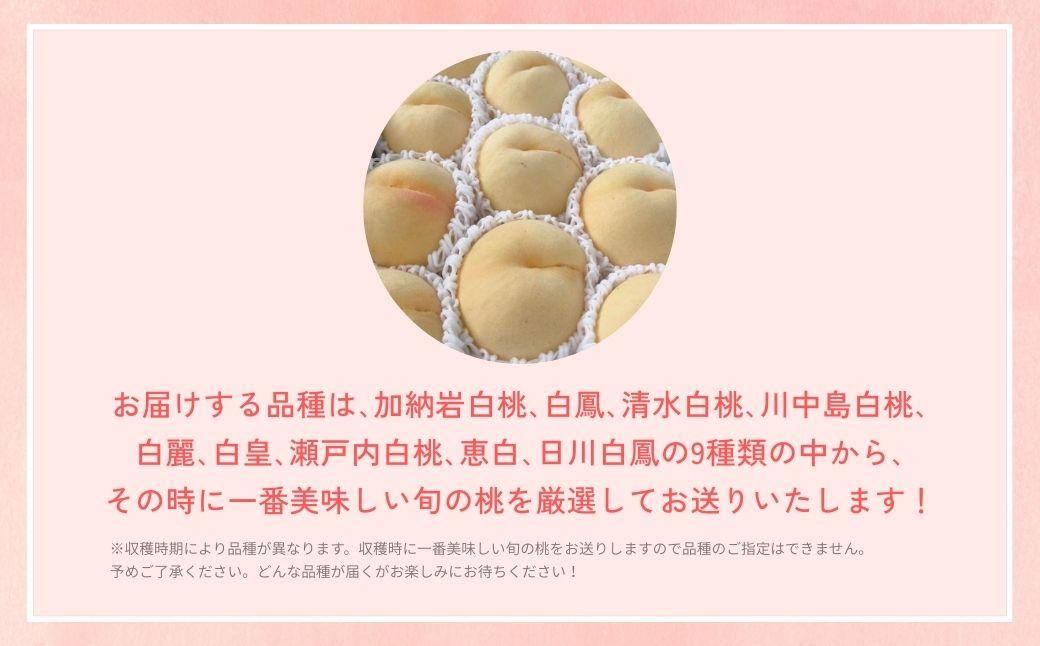＜数量限定＞［なんばふぁーむ］岡山県産 旬の桃 2.0kg（5～9玉）［ご家庭用］【2026年発送】