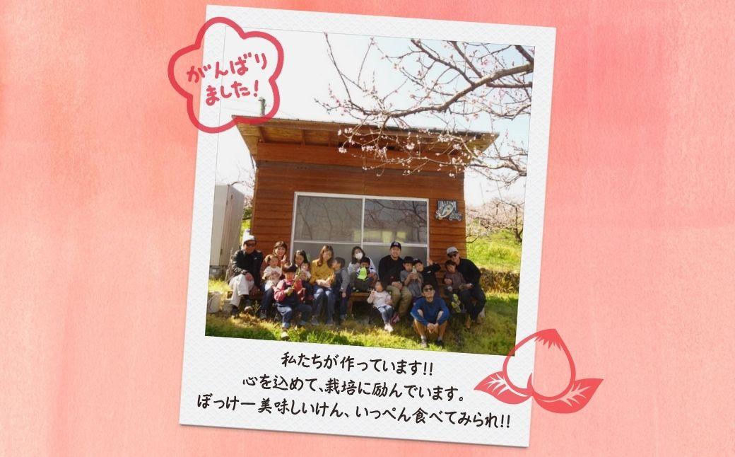 ＜数量限定＞［なんばふぁーむ］岡山県産 旬の桃 2.0kg（5～9玉）［ご家庭用］【2026年発送】