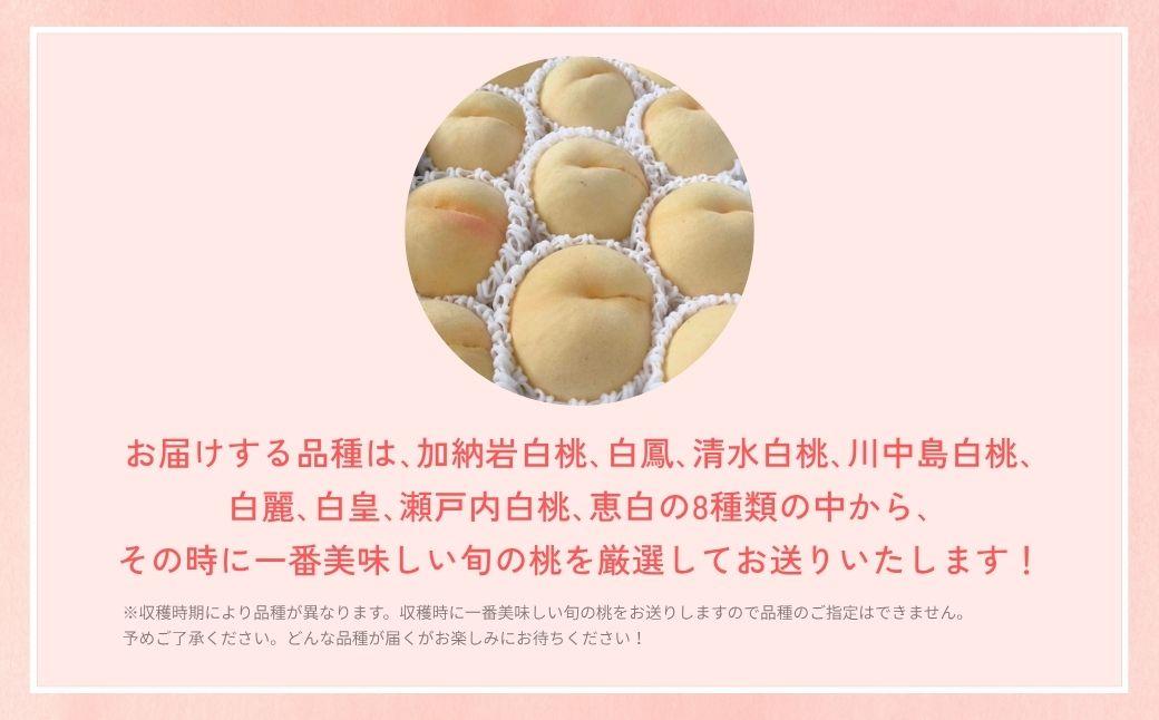 ＜数量限定＞［なんばふぁーむ］岡山県産 旬の桃 2.0kg（5～9玉）［ご家庭用］【2026年発送】
