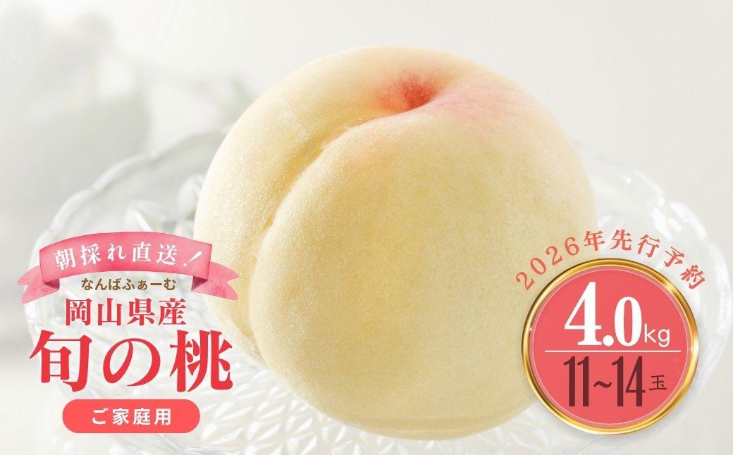 ＜数量限定＞［なんばふぁーむ］岡山県産 旬の桃 4.0kg（11～14玉）［ご家庭用］【2026年発送】