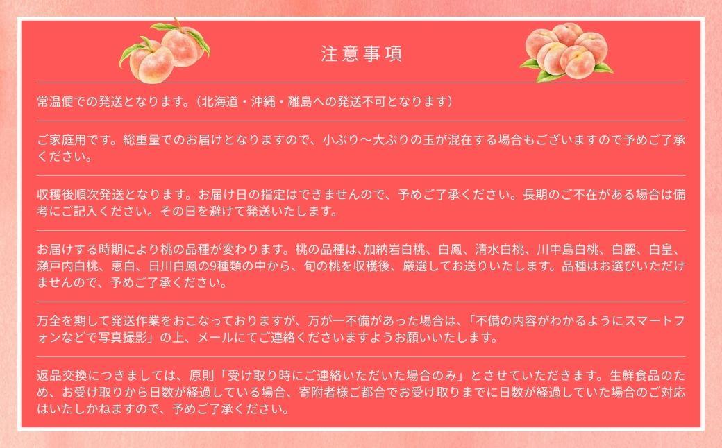 ïŒæ°ééå®ïŒïŒ»ãªãã°ãµããŒã岡山çç£ æ¬ã®æ¡ 4.0kgïŒ11ïœ14çïŒïŒ»ãå®¶åºçšïŒœã2026幎çºéã