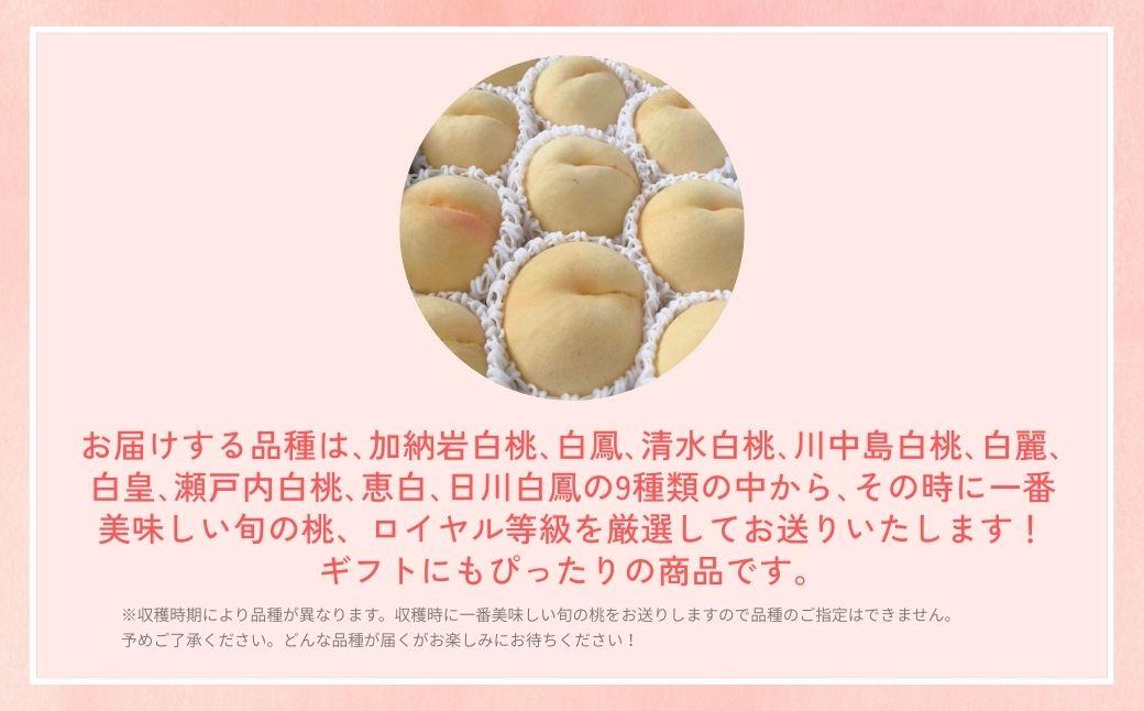 ＜数量限定＞［なんばふぁーむ］岡山県産 旬の桃 1.5kg（4～6玉）[ギフト用]【2026年発送】039-a003