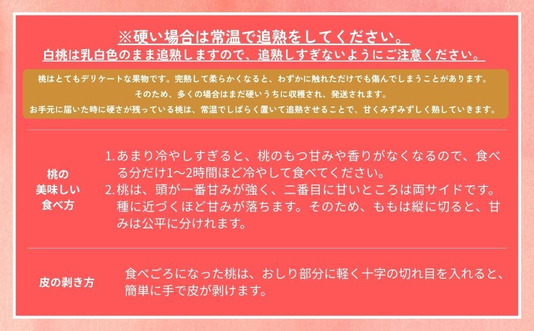 ＜数量限定＞［なんばふぁーむ］岡山県産 旬の桃 2.0kg（5～9玉）[ギフト用]【2026年発送】039-a004