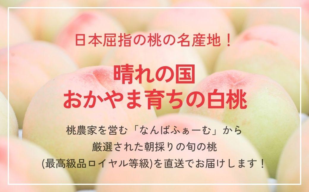 ＜数量限定＞［なんばふぁーむ］岡山県産 旬の桃 3.0kg（9～13玉）[ギフト用]【2026年発送】039-a005