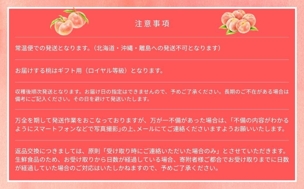 【2026年先行予約】［なんばふぁーむ］岡山県産 黄金桃 1.5kg（4～6玉）[ギフト用]桃 もも モモ おうごんとう フルーツ 果物  朝採り旬 岡山県産 産地直送 産直 送料無料 鏡野町
桃 もも モモ はくとう おうごんとう フルーツ 果物 贈答 贈答用 ギフト 朝採り旬 岡山県産 産地直送 産直 送料無料 鏡野町
桃 もも モモ はくとう おうごんとう フルーツ 果物 贈答 贈答用 ギフト 朝採り旬 岡山県産 産地直送 産直 送料無料 鏡野町