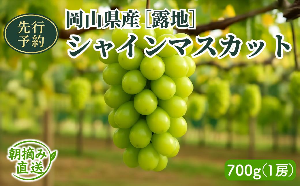 [2026年先行予約][露地]岡山県産シャインマスカット 700g(1房入)