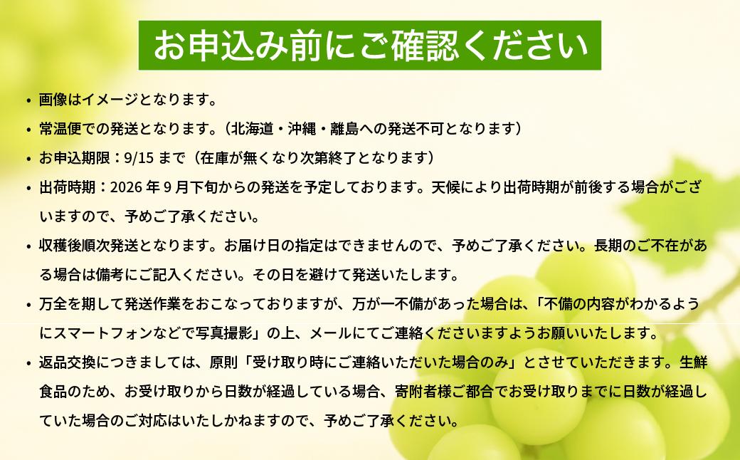 【2026年先行予約】［露地］岡山県産シャインマスカット 700g（１房入）