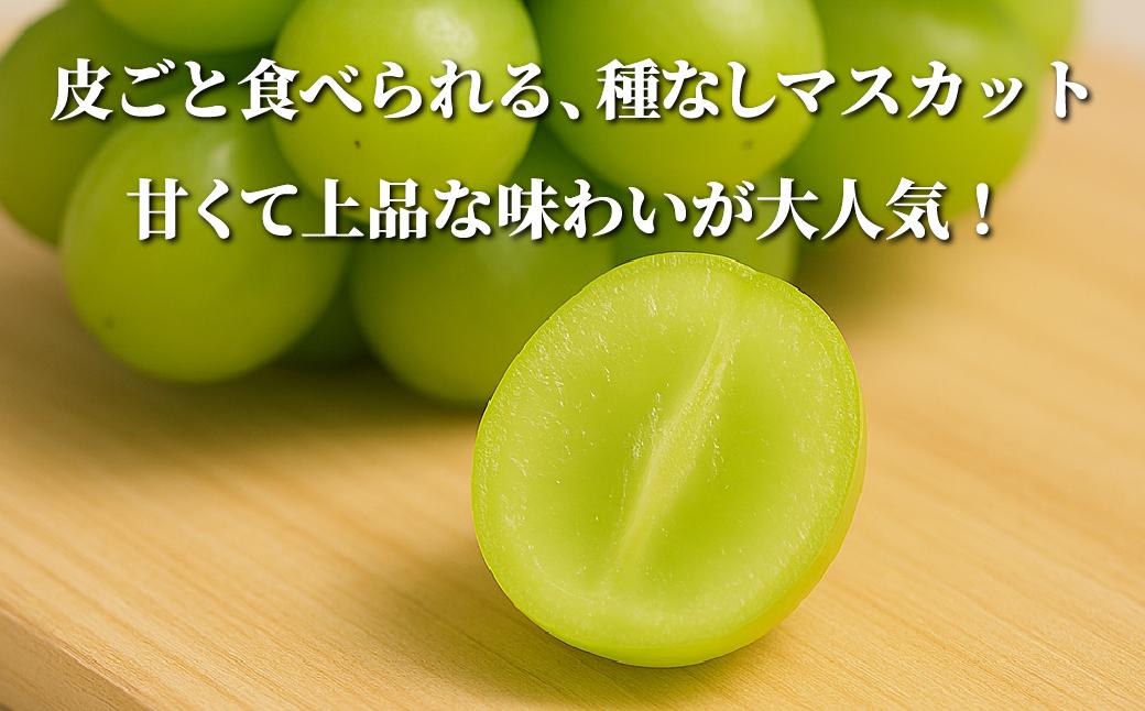 【2026年先行予約】［露地］岡山県産シャインマスカット 700g（１房入）