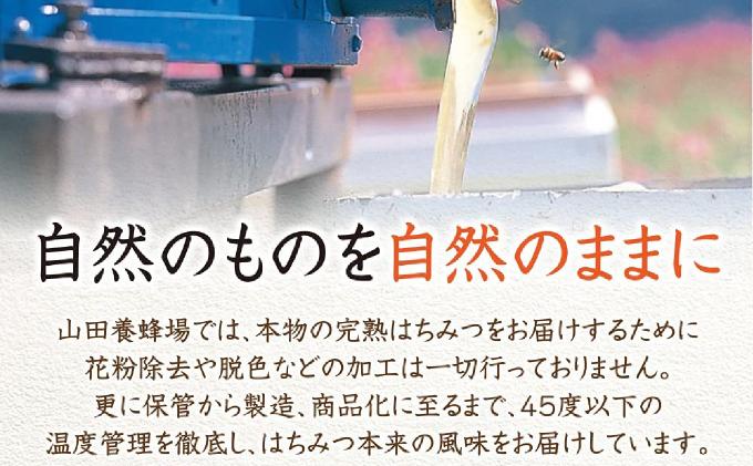 ローズマリー蜂蜜（12552）