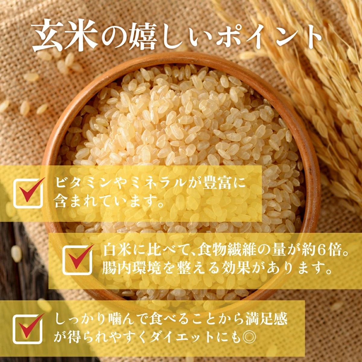 令和7年産 鏡野町産コシヒカリ 玄米 20kg【033-a010】