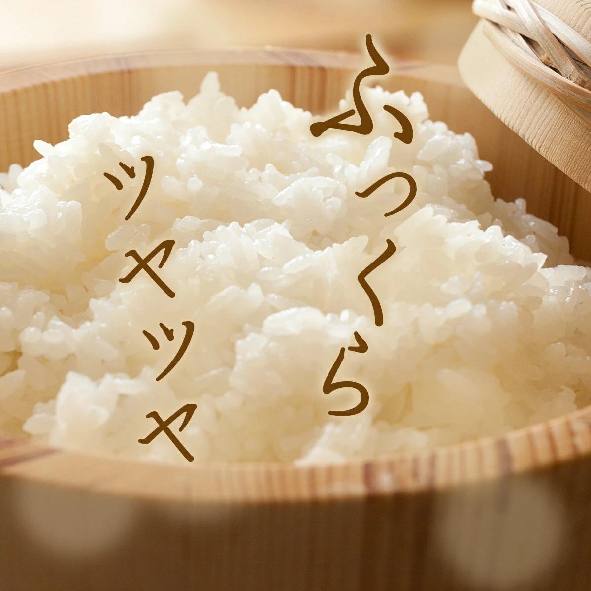 【2026年11月発送分】【先行予約】令和8年産 鏡野町産 コシヒカリ 精米 10kg（2kg×5袋）【033-a011】｜お米 米 白米