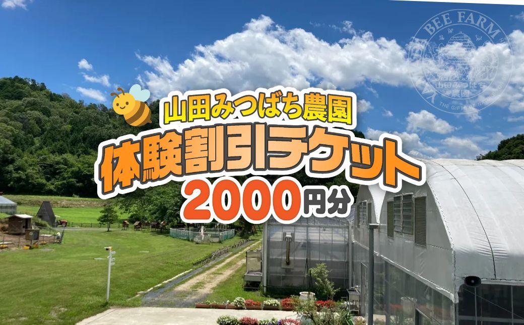 ［山田みつばち農園］体験割引チケット（2000円分）049-a001