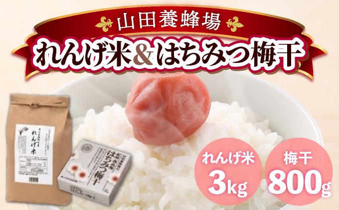 é¡éçºç£ãããç±³ïŒã¯ã¡ã¿ã€æ¢
å¹²ïŒ21876ïŒ