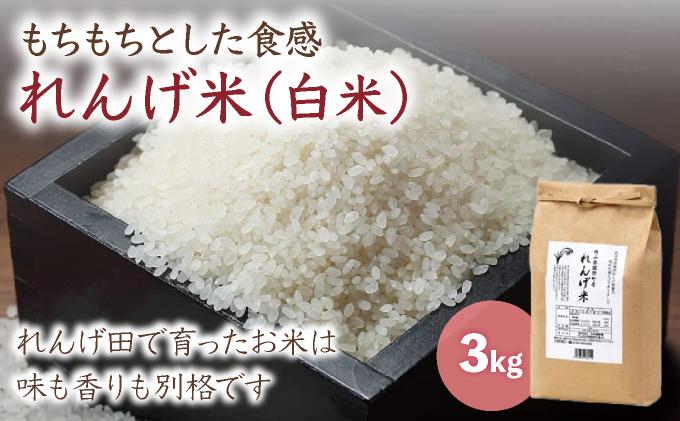 é¡éçºç£ãããç±³ïŒã¯ã¡ã¿ã€æ¢
å¹²ïŒ21876ïŒ