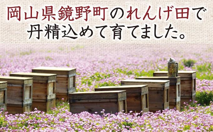 é¡éçºç£ãããç±³ïŒã¯ã¡ã¿ã€æ¢
å¹²ïŒ21876ïŒ