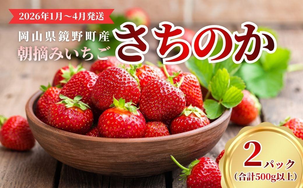 鏡野町産 朝摘みいちご「さちのか」2パック（合計500g）【2026年1月～4月発送】【029-a014】