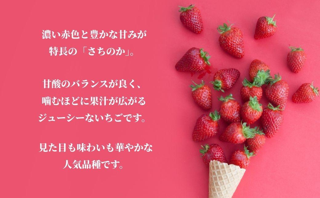 鏡野町産 朝摘みいちご「さちのか」2パック（合計500g）【2026年1月～4月発送】【029-a014】