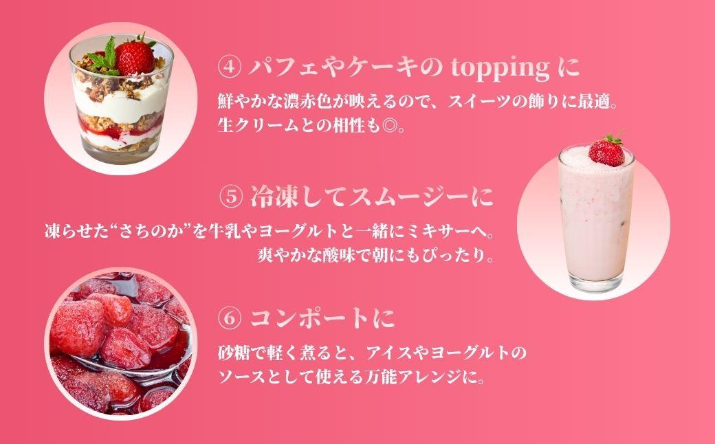 鏡野町産 朝摘みいちご「さちのか」2パック（合計500g）【2026年1月～4月発送】【029-a014】