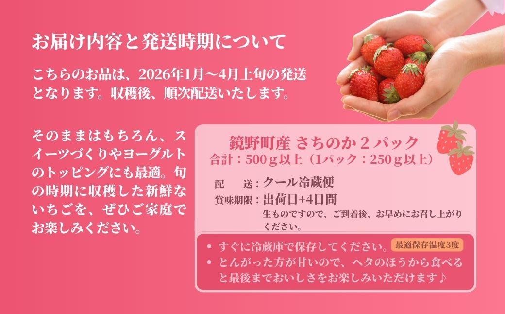 鏡野町産 朝摘みいちご「さちのか」2パック（合計500g）【2026年1月～4月発送】【029-a014】