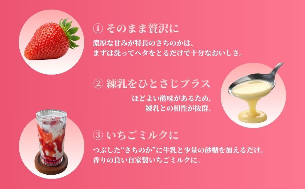 鏡野町産 朝摘みいちご「さちのか」4パック（合計1kg）【2026年1月～4月発送】【029-a015】